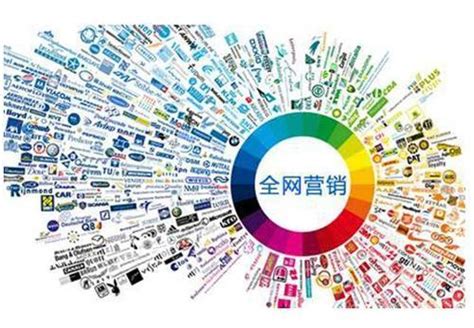 網(wǎng)絡推廣營銷實戰(zhàn)全攻略與推廣員高效執(zhí)行指南