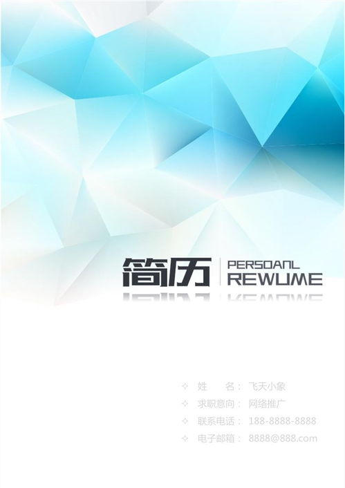 網(wǎng)絡(luò)技術(shù)服務(wù)簡(jiǎn)歷模板